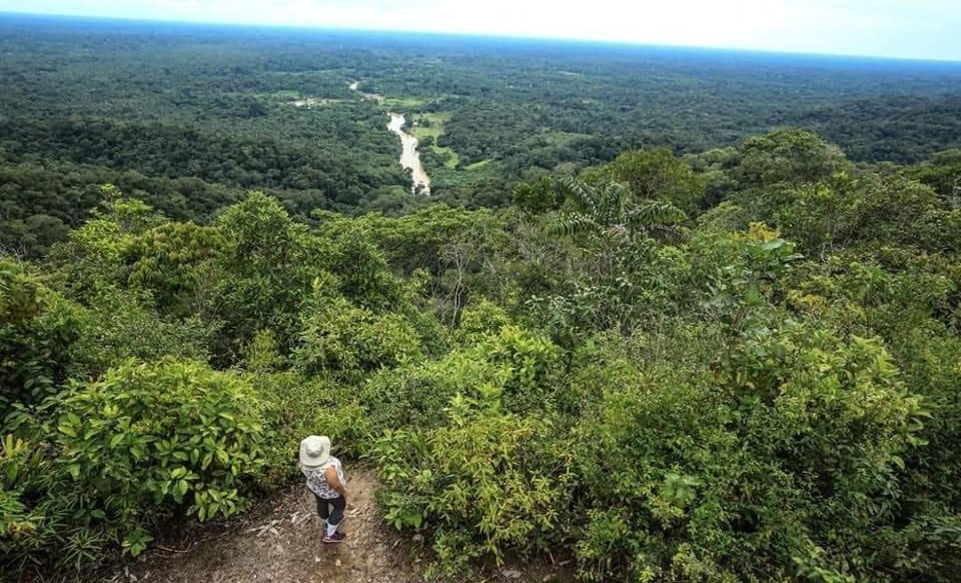 Fotógrafo Marcos Vicentti promove mais uma expedição ao Parque Nacional Serra do Divisor